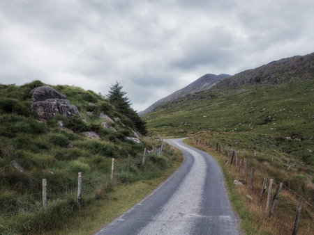 A gray paved road winds through the verdant hills of the Gap of Dunloe. Green grassy hills with scattered rocks rise alongside the road, and the sky is overcast.の写真素材