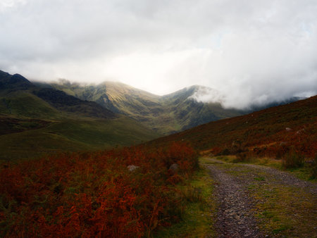 Scenic vista of Carrauntoohil mountain walkway during the autumn season in County Kerry, Ireland.の写真素材
