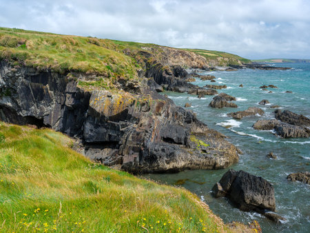 Coastal scenery with clear skies. View of a serene coastline.の写真素材