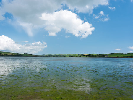 A serene, wide river under a bright, cloudy sky.の写真素材