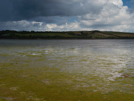 Overcast day at the coast with green algae in shallow water.の写真素材