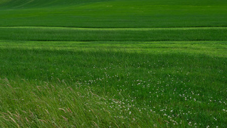 Rolling green hills and fields meet in West Cork. The different textures and shades of green create beautiful landscape in the Irish countryside.の写真素材