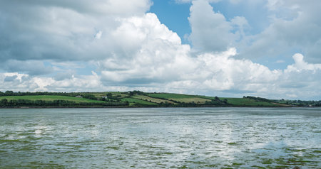 Waters meet green hills in West Cork under a partly cloudy sky. Patches of growth float on the...