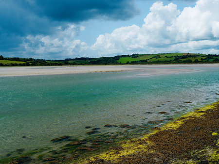 A serene coastal vista featuring a wide expanse of turquoise water meeting a sandy shore, with lush green hills under a cloudy sky. The water's edge reveals textures of seaweed.の写真素材