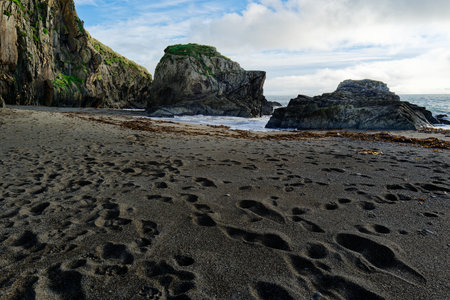 Footprints mark the black sand beach at Sheep Cove, Ireland. Waves crash around the rocky outcrops that are covered with green vegetation and brown seaweed.の写真素材