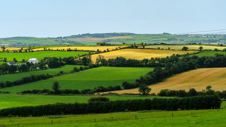 Green and golden fields stretch across the landscape in West Cork, Ireland. Distant hills rise under...