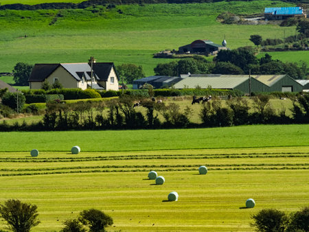 Rolling green fields are punctuated by round hay bales. Farm buildings and houses dot the landscape....