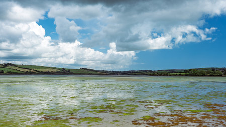 Clouds reflect softly on the water surface.の写真素材