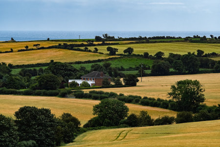 Peaceful countryside scene showcasing a house surrounded by golden fields and lush greenery under a...