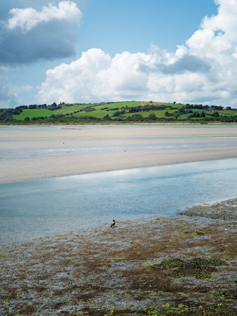 Tranquil scene of a river winding through a sandy landscape, leading to green fields beneath a sky with dramatic clouds. A single bird is visible.の写真素材
