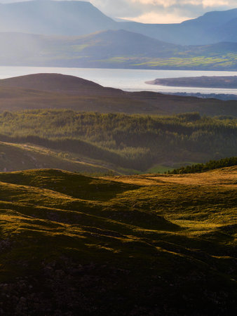 A scenic view captures sunlit, undulating hills in the foreground leading towards Castlemaine Harbour. Distant mountains rise behind the serene waters under a cloudy evening sky.の写真素材