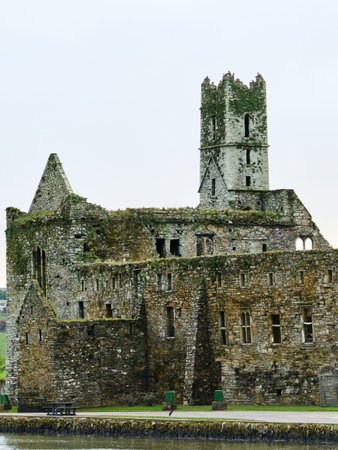 Timoleague Friary. Ancient stone monastery ruins. Historical Irish abbey. Old stone structure....