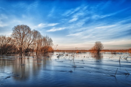 water from the river overflowed and flooded field in spring under a blue skyの写真素材