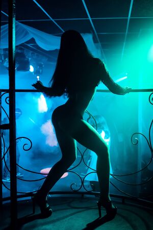 Young girl with a slim sexy figure dancing go-go with a naked body in nightclub on stageの写真素材