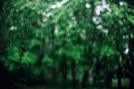 defocused raindrops with blurred green backgroundの写真素材
