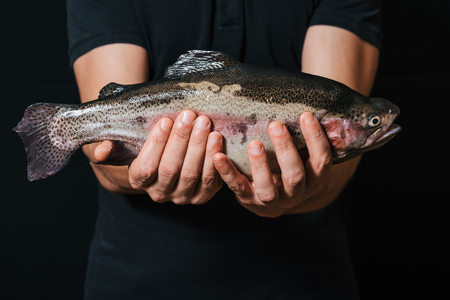 man holding a fresh raw trout on dark backgroundの写真素材