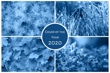 Color of the year 2020 classic blue. Four seasons collage: Winter, Spring, Summer, Autumn