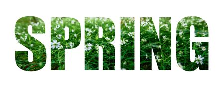 Text Spring on a background of white flowers. Lettering on white backgroundの写真素材