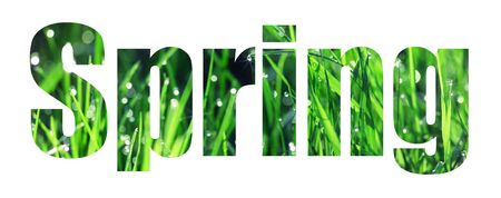 Text Spring on a background of green grass with dewの写真素材