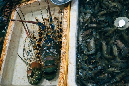 fresh lobster and shrimp on store counter
