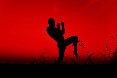 Silhouette of a male fighter engaged in training and applying combat techniquesの写真素材