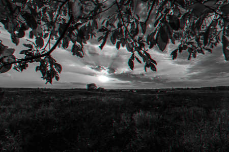 autumn landscape through the branches of a tree on the field with a sunset