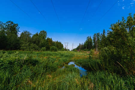 high voltage power line in the forest on a summer day