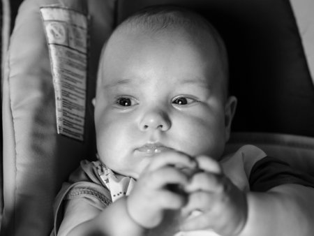 black and white portrait of Caucasian baby boy childの写真素材