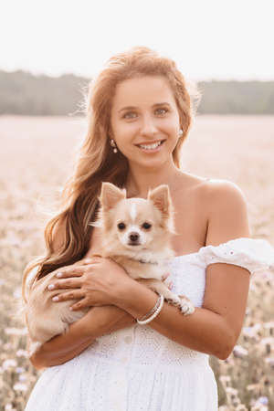 young beautiful woman with cute Chihuahua dog in nature in summer in a fieldの写真素材