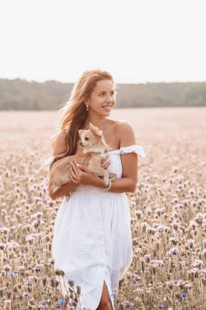 young beautiful woman with cute Chihuahua dog in nature in summer in a fieldの写真素材