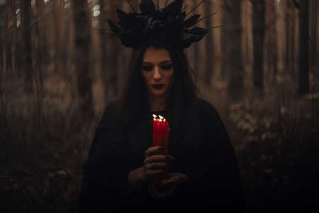 witch in a black costume holds candles in a dark forestの素材 [FY310168749106]