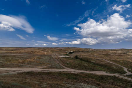 Plain and steppe with dry grass under a blue skyの写真素材