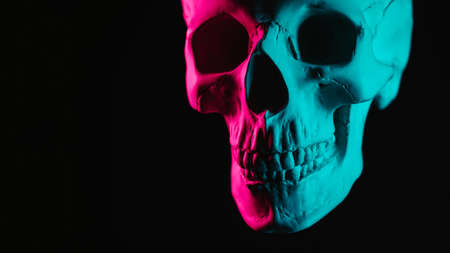 human skull with pink green neon lightの写真素材