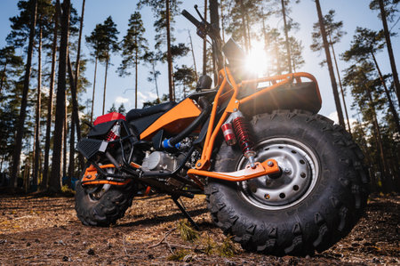 REPUBLIC OF KARELIA, RUSSIA - CIRCA JUNE, 2022: Off-road tournament Ladoga Trophy 2022 in Karelia....
