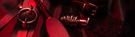 metal anal plug and leather handcuffs with a whip. BDSM toys set