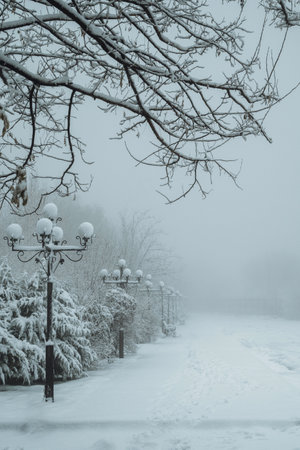 winter foggy landscape on an alley in park with lanterns and a bench in the snow in the fog