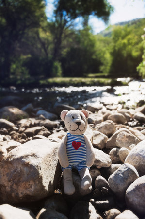 teddy bear toy sits in nature by river in summer. Concept of travelの写真素材