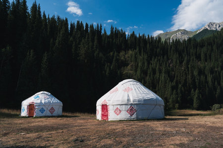 traditional houses of Asian nomads yurts in field near a spruce forest in summer in Tien Shan...