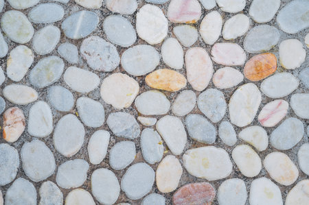 a pathway made of smooth, gray pebbles.の写真素材