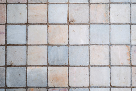 The background is made of aged tiles, a square clay floor in gray color.の写真素材