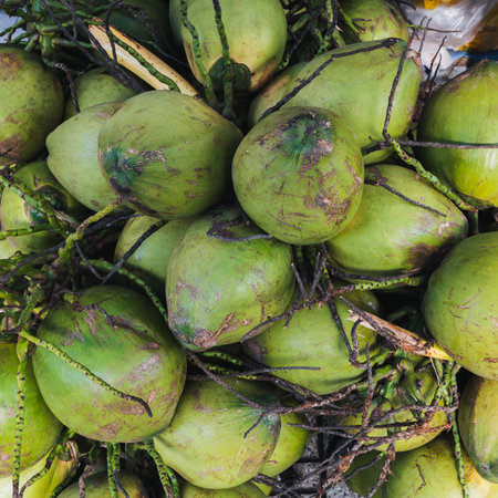 bunch of green drinking coconuts at street market in Vietnam in Asiaの写真素材