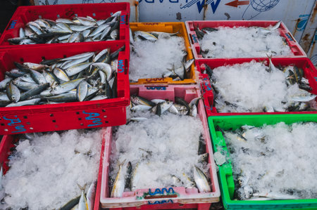 Fresh fish in crates at street seafood market in Nha Trang in Vietnam. Nha Trang, Vietnam - September 8, 2024のeditorial素材