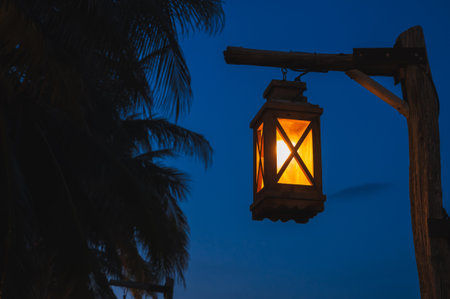 An old street lamp illuminating a dark street with palm treesの写真素材