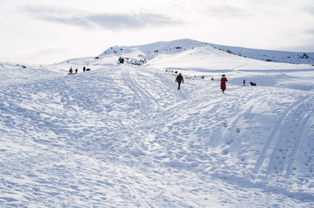 People relax in nature and ride downhill on tubing in winter. Shymkent, Kazakhstan - January 27, 2024のeditorial素材