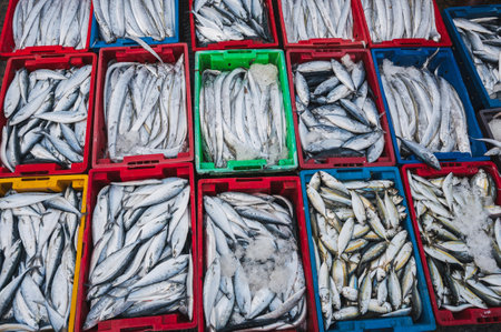 Fresh raw fish at street seafood market in Asia in Vietnamの写真素材
