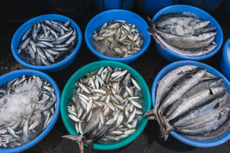 An assortment of sea fish at traditional Vietnamese street market selling seafood in Asiaの写真素材