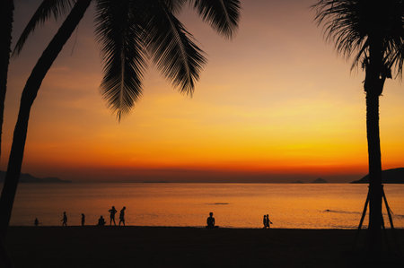 silhouettes of people relaxing on beach with palm trees by the sea in the morning at sunrise in...