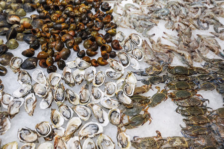 The seafood street market offers a wide range of fresh seafood on ice