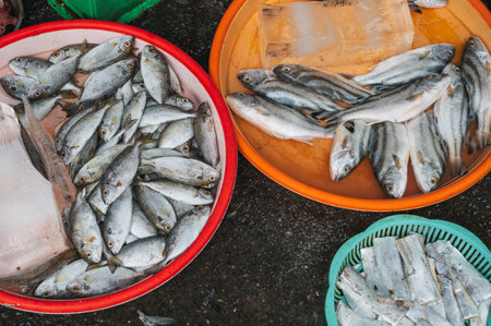 fresh fish at Asian street market in Asia in Vietnamの写真素材