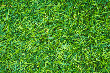 artificial lawn background with green grass texture closeupの写真素材